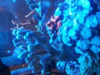 20160308_184214.jpg