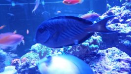 20170128_101843.jpg