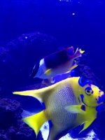 IMG_6583.jpg