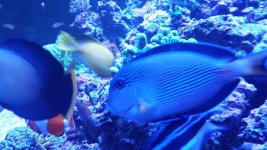 20170128_101901.jpg