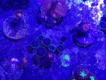 20161015_214424.jpg