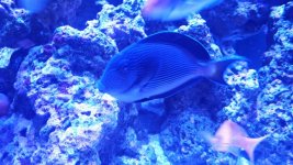 20170128_101918.jpg