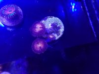 20161015_214348.jpg