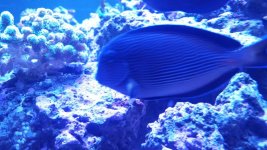 20170128_101948.jpg