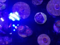 20161015_214332.jpg
