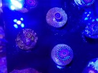 20161015_214325.jpg