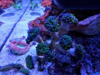 IMG_20170128_135054.jpg