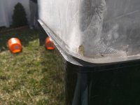 IMG_20160309_135510.jpg