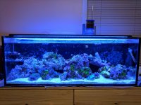 IMG_20170501_211949.jpg