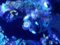 20170216_185608.jpg