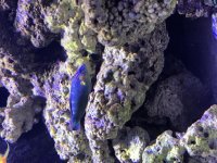 IMG_0123.jpg