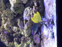 IMG_0134.jpg