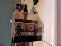 20170606_092926.jpg