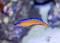 IMG_8960.jpg