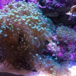 IMG_0243.jpg