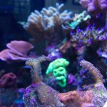 IMG_0251.jpg