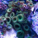 IMG_0253.jpg
