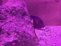 IMG_3997.jpg