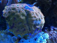 IMG_0205.jpg