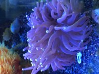IMG_0213.jpg