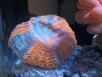 100_1720.jpg