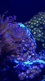IMG_0946.jpg