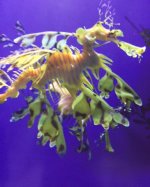 IMG_0635.JPG