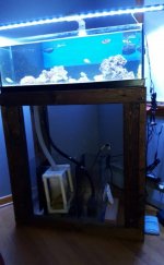 VZM.IMG_20160512_225745.jpg