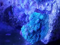 20170818_221116.jpg