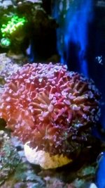 2016-09-13 18.32.15.jpg