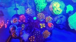 VZM.IMG_20160112_083101.jpg