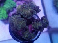 20170814_152859.jpg