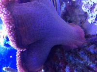 IMG_3510.jpg