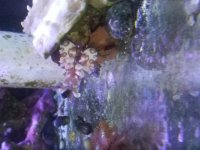 20160807_151930.jpg