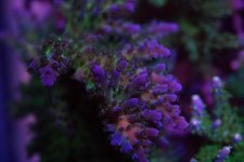 IMG_0277.jpg