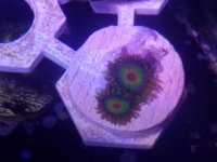 20161119_125454.jpg