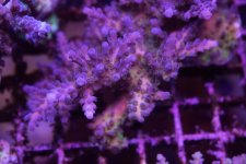 IMG_0284.jpg