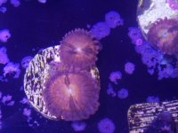 20161119_125436.jpg