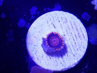 20161119_125303.jpg