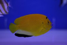 IMG_9747.jpg