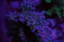 IMG_0138.jpg