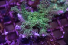 IMG_0283.jpg