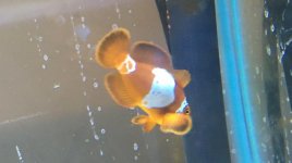 IMG_0044.jpg