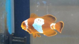 IMG_0060.jpg