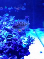 IMG_20160515_160639.jpg