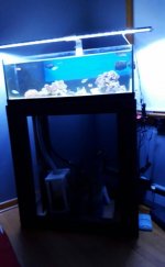 VZM.IMG_20160512_225212.jpg
