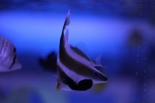 IMG_9858.jpg