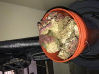 IMG_0464.jpg