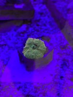 IMG_6072.jpg