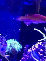 IMG_0280.jpg